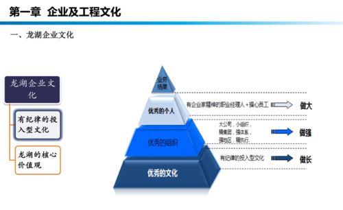 龍湖工程管理手冊(cè)培訓(xùn) 提升工程管理服務(wù)效能與標(biāo)準(zhǔn)化水平